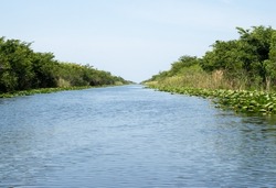 A natural waterway from the Everglades National Park in Florida 