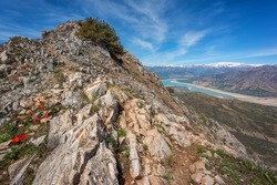 Scenic view of Chimgan mountains in spring, amazing nature landscape with rocks, tulip flowers, snowy peaks, Charvak lake in the valley and blue sky, travel background, Uzbekistan, Tashkent region