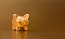 Golden piggy toy on a gold background frame stock images. Cute little pig figurine on a gold background with copy space for text stock images
