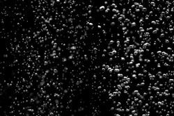 Shiny air bubbles underwater rising from bottom and illuminated by rays of light. Stream of oxygen bubbles on a black isolated background. Close up of a bubbling liquid during aeration of water.