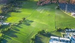 Cultivated land and land plot or land lot. Consist of aerial view of green field, agricultural plant and ridge. That is tract of land for cultivate, owned, sale, development, rent, buy or investment.