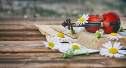 small toy violin, chamomile flowers, summer time melody concept, close-up, selective focus