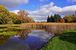 Small pond in the autumn park - A beautiful autumn day .Amazing  autumn landscape - 