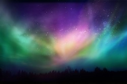 Multicolored northern lights (Aurora borealis)on Canadian forest