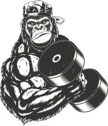 Vector illustration, ferocious gorilla bodybuilder performs an exercise with a large dumbbell