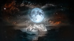 Couple of white swans dancing in the landscape of night sea with fool moon and galaxy stars background.