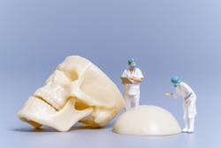 Miniature people Doctor with a giant human bone on a grey background, Science and Medical Concept