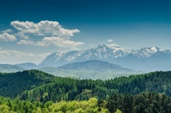 Carpathian Mountains Scenery