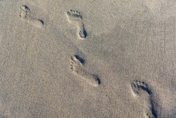Foot Prints On Beach Sand