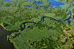 aerial view of wetland