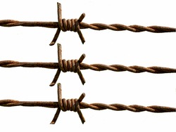 Fragment of barbed wire on a white background