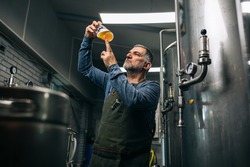 brewer examining taste and color of the beer in his craft beer brewery