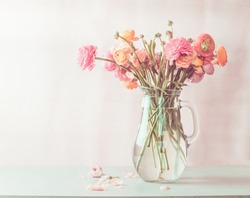Pastel pink ranunculus flowers bouquet in glass jug on table, front view