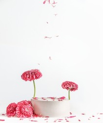 Modern product display with podium scene stage, pink flowers and falling petals at white background.  Floral showcase for product with copy space. Front view.