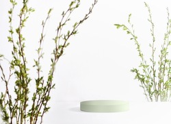 Modern product display with pale green podium and spring branches at white background. Scene stage showcase. Place for your product. Front view with copy space.