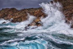 Huge waves crashing on the rocks of Syros island, Greece. The seagulls enjoyed it highly.