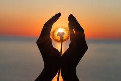 dandelion flower in young woman's hands at sunset or sunrise light, sea water landscape, spiritual, meditation, soul, harmony concept