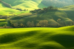 Pastoral green field with long shadows in Tuscany, Italy