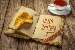 Hello September handwriting in a retro journal with decked edge handmade paper pages and a stylish pen on a rustic wooden table with a cup of tea, fall and journaling concept