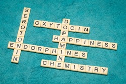 dopamine, oxytocin, serotonin and endorphins, happiness brain chemicals, chemistry and physiology concept, crossword in ivory tiles against textured handmade paper