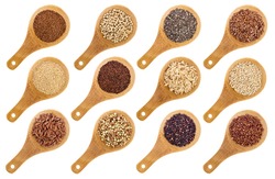 a variety of gluten free grains and seeds (buckwheat, amaranth, brown rice, millet, sorghum, teff, black, white and black quinoa, chia and flax seeds) - wooden spoons isolated on white