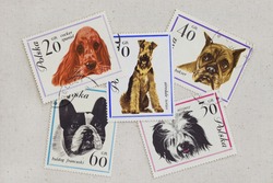 variety of dogs (cocker spaniel, French bulldog, boxer, airedale terrier, Polish lowland shepherd) on vintage canceled Polish post stamps placed casually on artist cotton canvas