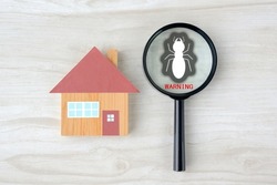House object and magnifying glass with termite pictogram