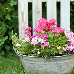 Rustic tin tub with flowers