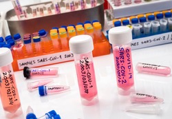 Vials with samples of SARS-COV-1 prepared cold in a laboratory, epiedomological study on Sars-CoV-2 Covid-19, conceptual image