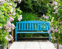Bench in garden