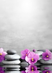 Beautiful pink flower and stone zen spa on grey background