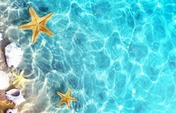 Starfish, coral and seashell on the summer beach in sea water. Summer background. Summer time.