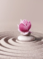 Japanese zen garden meditation stone and pink magnolia, concentration and relaxation sand and rock for harmony and balance.