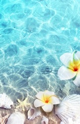 Starfish, seashell and flower on the summer beach in sea water. Summer background. Summer time.