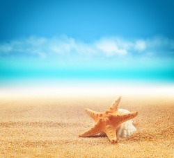 Summer beach. Starfish on the sand.