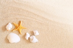 Starfish on the seashore and summer beach