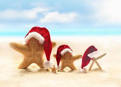Family of starfish on summer beach and Santa hat. Merry Christmas