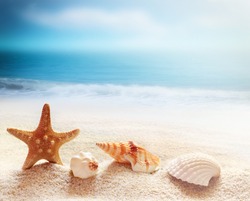 Starfish and sea shells on the beach and ocean as  background. Summer beach. Seashells.