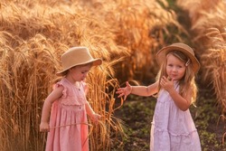 Two little sisters in straw hats and pink dresses are running around in wheat field. Girlfriends are having fun, collecting spikelets of rye. Girl in yellow rubber boots, the other barefoot in the mud
