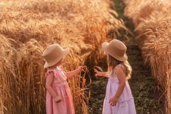Two little sisters in straw hats and pink dresses are running around in wheat field. Girlfriends are having fun, collecting spikelets of rye. Girl in yellow rubber boots, the other barefoot in the mud