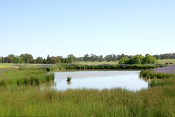 Farmland in South-Western New South Wales, Australia