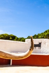 antler or bull horn in the bullring of Mijas Spain, with metal bull silhouette on the wall in the background with white wall