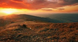 picturesque summer landscape in Europe, wonderful carpathian sunset, west Ukraine, Europe