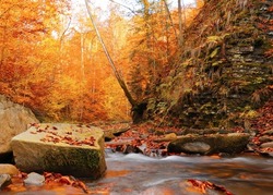 spectacular nature landscape in Europe, awesome autumn view, river in forest, Carpathian mountains, Europe, Ukraine