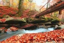spectacular nature landscape in Europe, awesome autumn view, river in forest, Carpathian mountains, Europe, Ukraine