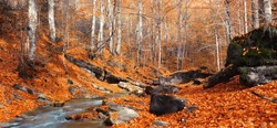 panoramic autumn scenery, scenic auumn landscape in Europe, Carpathians, Ukraine
