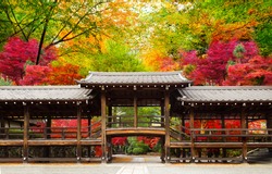 Japan autumn image. traditional architecture in the beautiful Japanese red leaves. Kyoto. 