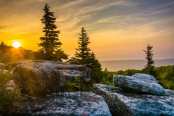 Sunrise at Bear Rocks Preserve, in Dolly  Sods Wilderness, Monongahela National Forest, West Virginia.