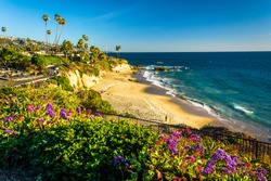 Flowers and view of the Pacific Ocean at Heisler Park, in Laguna Beach, California.