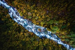 Top view on a flowing forest river in Mrtvica canyon in Montenegro